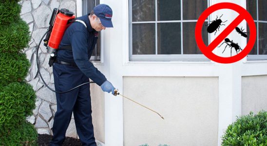 Eceabat Akrep İlaçlama böcek ilaçlama ve haşere kontrolü — ilaclama-tr.com